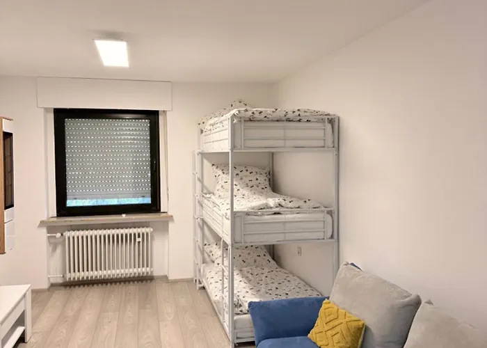 Soft * 바일러스비스트